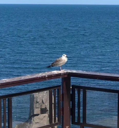 Bulgaria Na Lato Z Widokiem Na Morze Appartement *